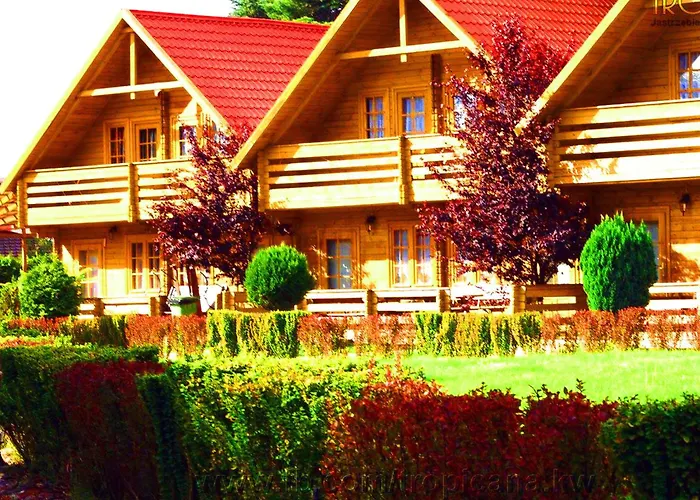 Camping Przy Klifie Jastrzębia Góra